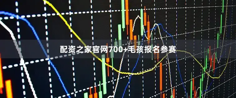 配资之家官网700+毛孩报名参赛